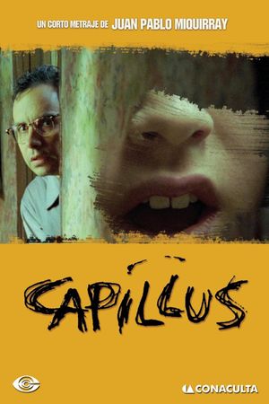 Capillus's poster