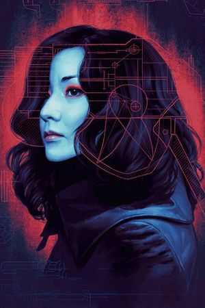 Lady Vengeance's poster