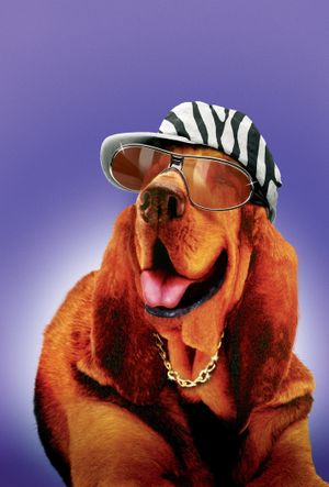 Racing Stripes's poster