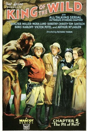 King of the Wild's poster