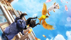 Cats's poster