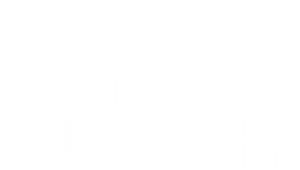 UFC on ESPN 65: Emmett vs. Murphy's poster