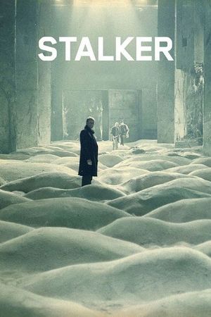 Stalker's poster