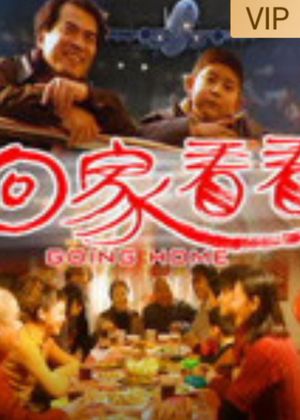 回家看看's poster