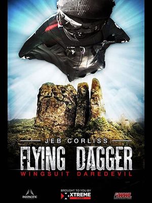 Flying Dagger's poster