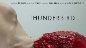 Thunderbird's poster