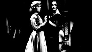 Seduction: The Cruel Woman's poster