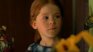 The Butterfly's poster