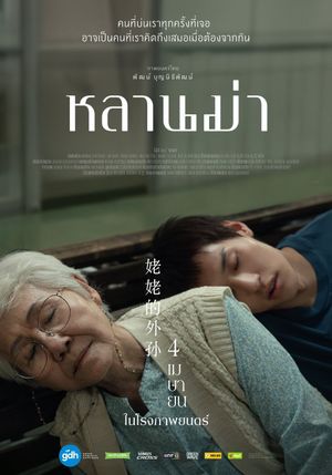 How to Make Millions Before Grandma Dies's poster