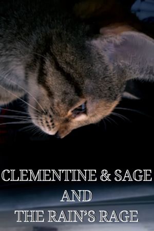 Clementine & Sage and The Rain's Rage's poster