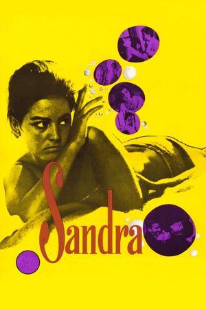 Sandra's poster