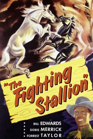 The Fighting Stallion's poster