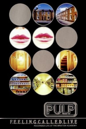 Pulp - F.E.E.L.I.N.G.C.A.L.L.E.D.L.I.V.E.'s poster