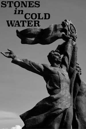 Stones in Cold Water's poster