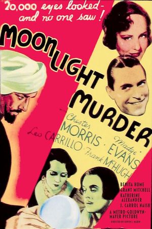 Moonlight Murder's poster