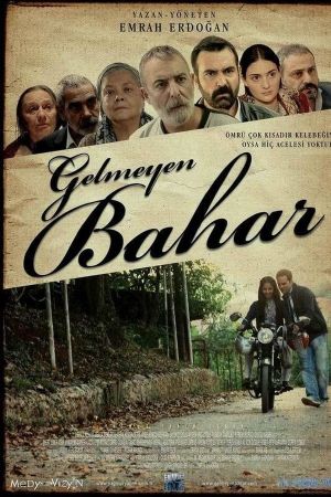 Gelmeyen Bahar's poster