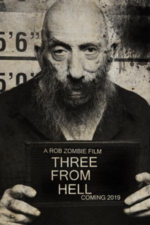 3 from Hell's poster