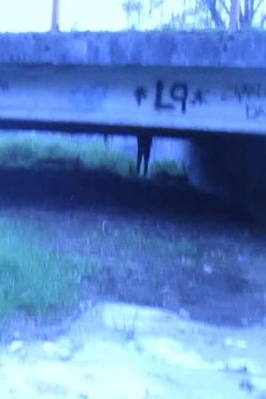 Untitled Found Footage Film's poster