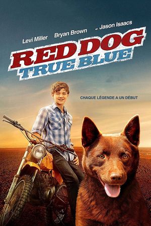 Red Dog: True Blue's poster