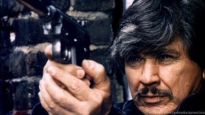 Charles Bronson: The Spirit of Masculinity's poster