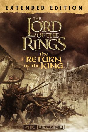 The Lord of the Rings: The Return of the King's poster