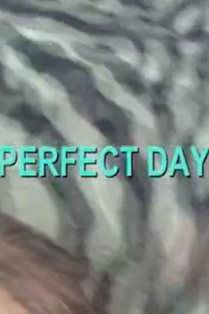 Perfect Day's poster