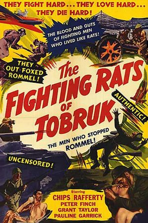 The Rats of Tobruk's poster