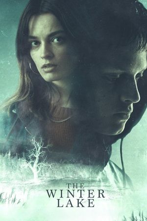 The Winter Lake's poster