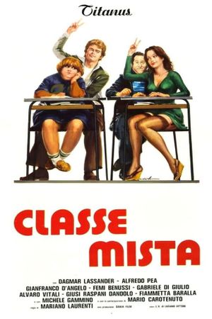 Classe mista's poster