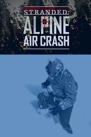 Stranded: Alpine Air Crash's poster