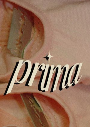 Prima's poster