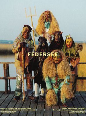 Federsee's poster