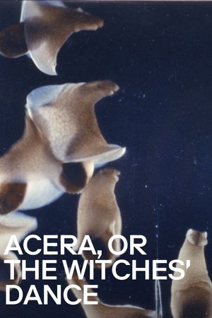 Acera, or the Witches' Dance's poster
