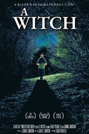 A Witch's poster image
