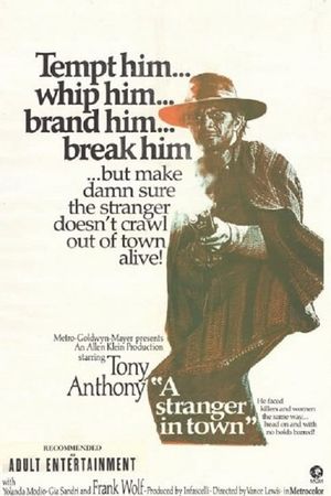 A Stranger in Town's poster