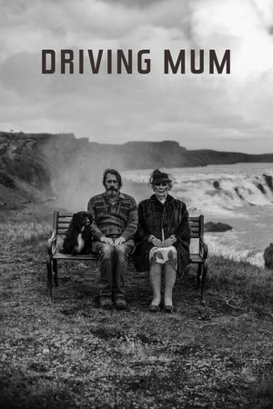 Driving Mum's poster