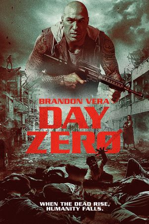 Day Zero's poster