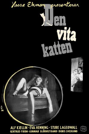 The White Cat's poster