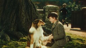 Lassie Come Home's poster