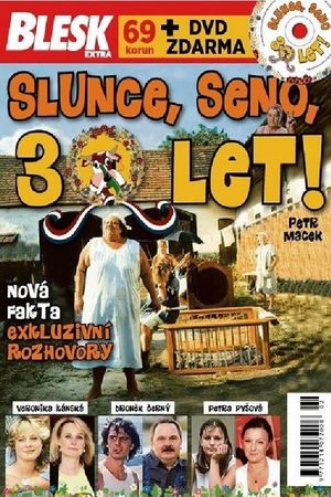 Sun, Hay, 30 Years!'s poster