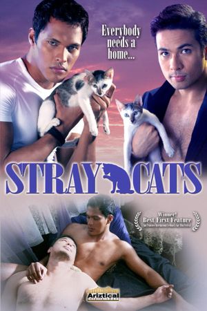 Stray Cats's poster