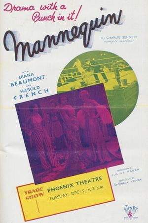 Mannequin's poster
