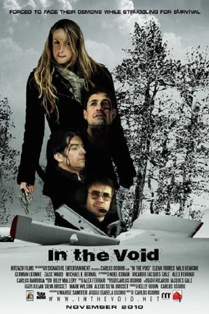 In the Void's poster