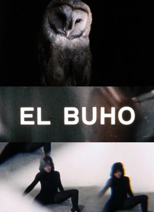 El buho's poster