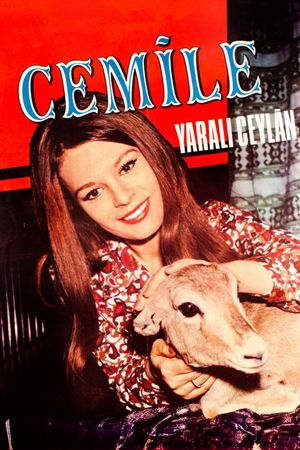 Yarali Ceylan's poster