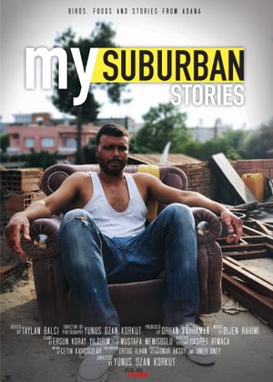 My Suburban Stories's poster