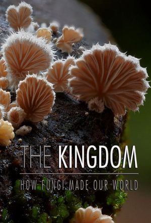 The Kingdom: How Fungi Made Our World's poster