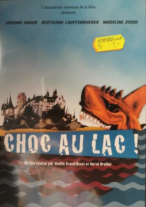 Choc au lac !'s poster