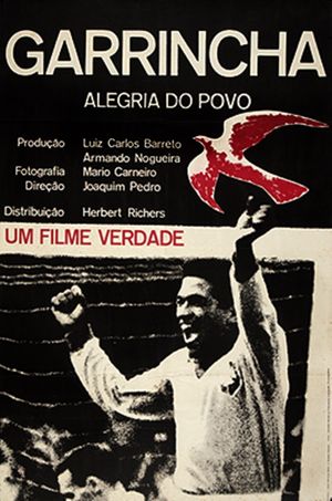 Garrincha: Hero of the Jungle's poster