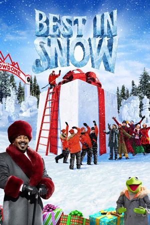 Best in Snow's poster
